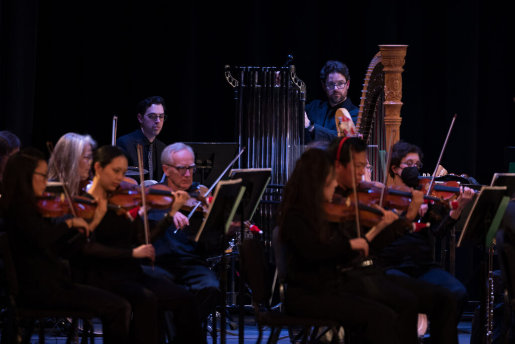 The strings section of the Milwaukee Symphony Orchestra at the Holiday Pops Concert to benefit the West Bend COLUMNS Scholarship Foundation