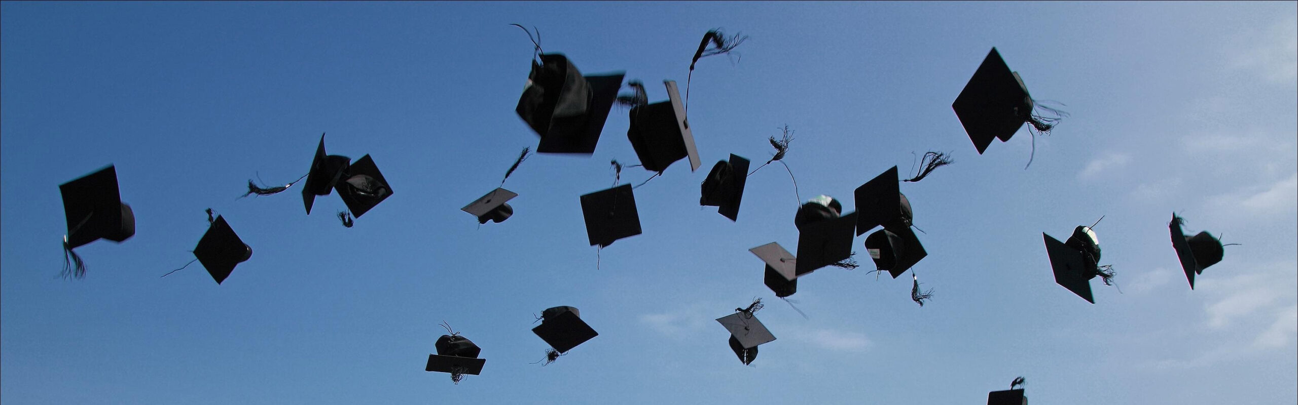 Photo of many graduation caps in the air